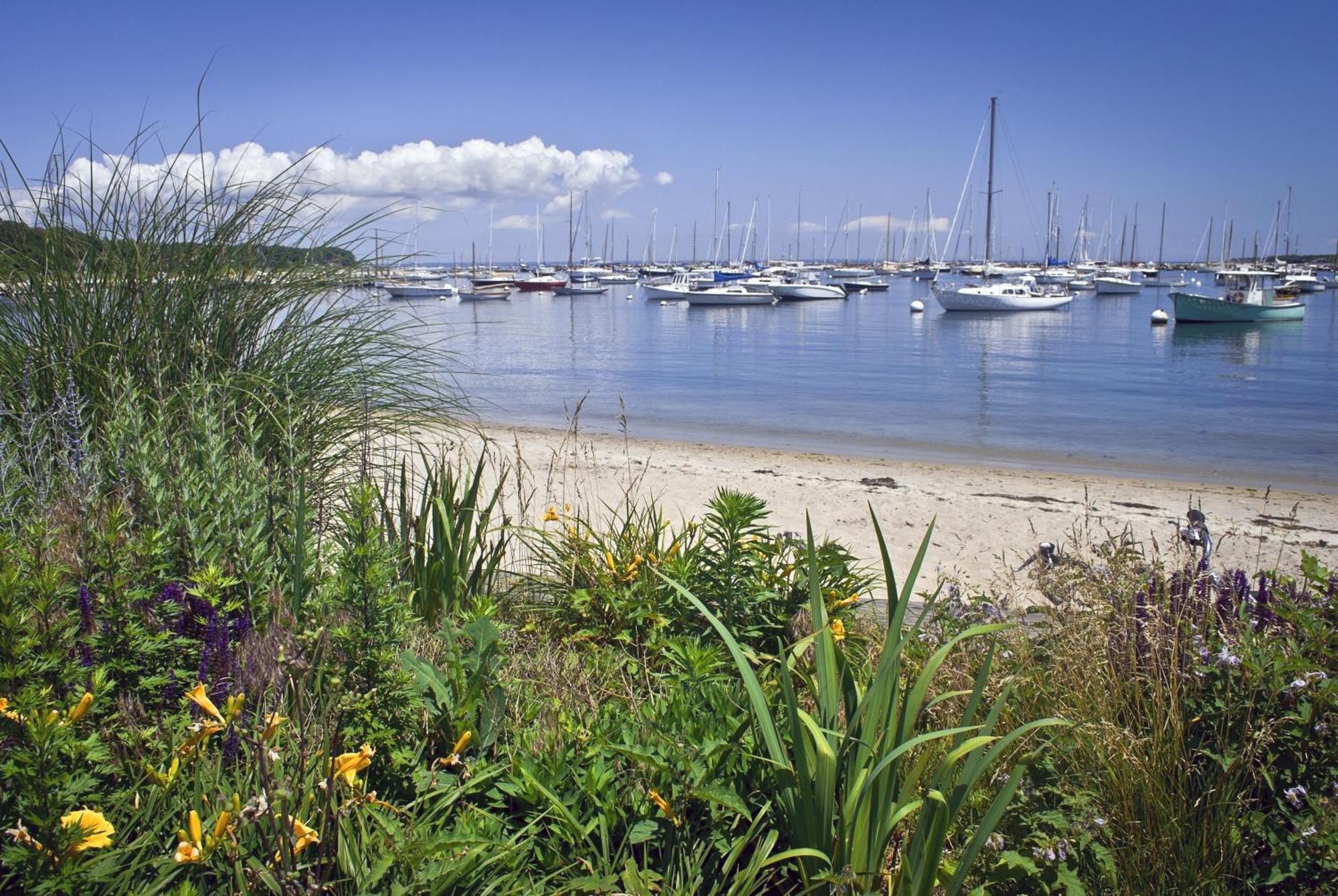 The Oak Bluffs Inn ภายนอก รูปภาพ
