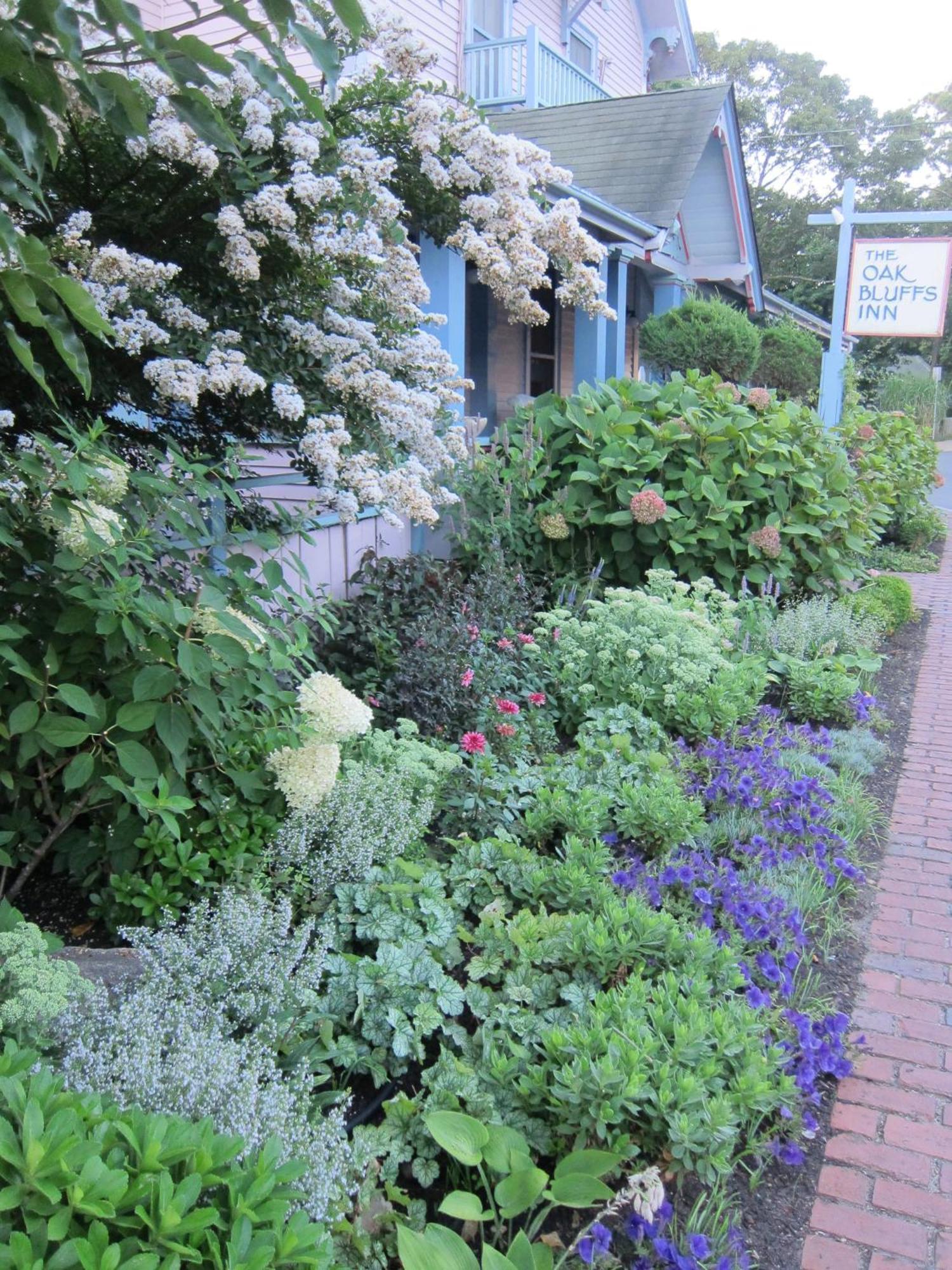 The Oak Bluffs Inn ภายนอก รูปภาพ